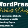 I will build or redesign responsive wordpress website design or ecommerce site