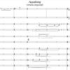 I will quickly and accurate audio transcriptions to sheet music