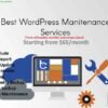 I will do monthly wordpress website maintenance