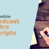 I will write your SEO podcast show notes