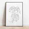 I will provide Monstera Leaves Poster