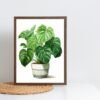 I will create Botanical Print Set of 4 Living Room Wall Art House plant