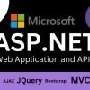 I will develop c sharp asp dot net core mvc web application and API